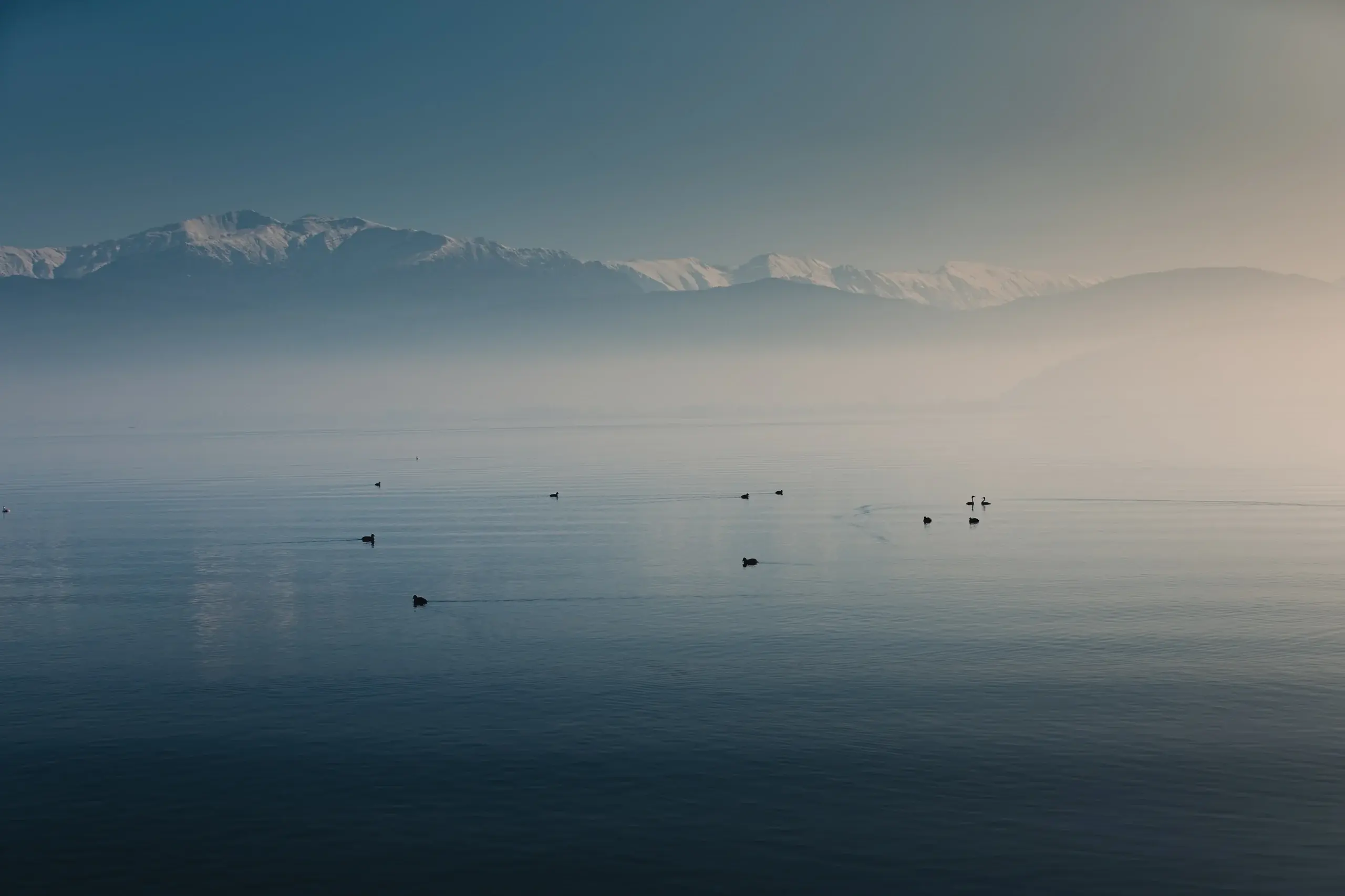 A lake on a foggy morning